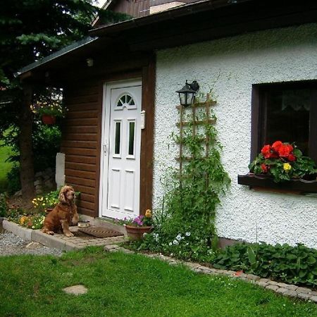 Ferienhaus In Kurort Oberwiesenthal Mit Grill Exteriör bild